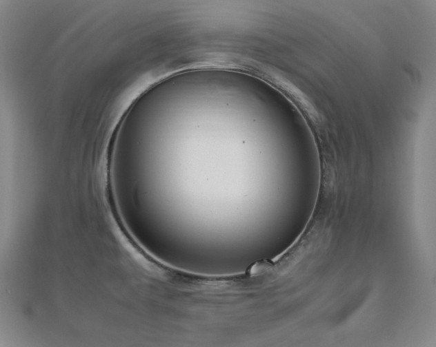 X0000112771479200908201456