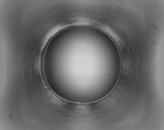 X0000112771480200908201456