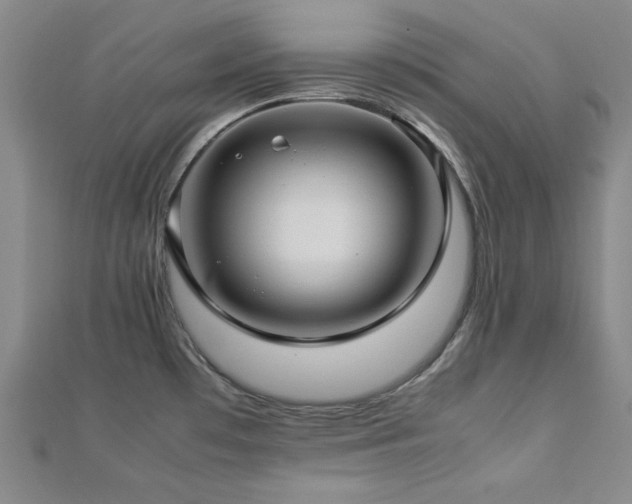 X0000112771481200908201456