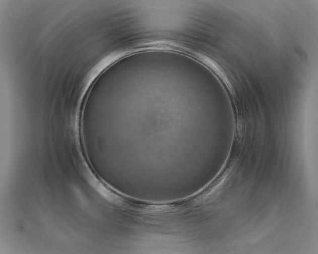 X0000112771482200908201456