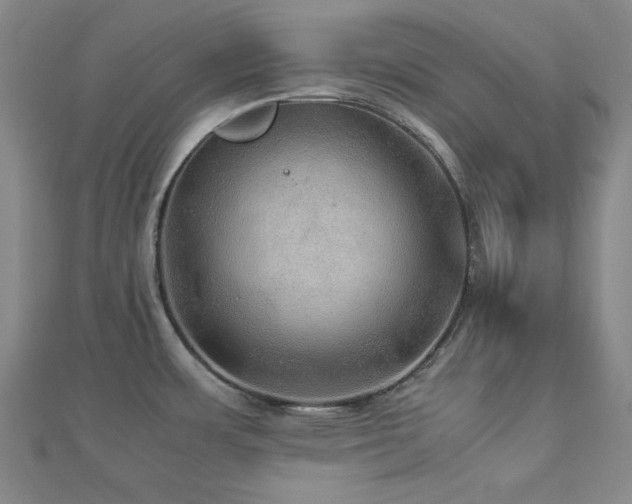 X0000112771483200908201456