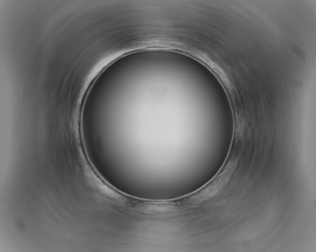 X0000112771486200908201456