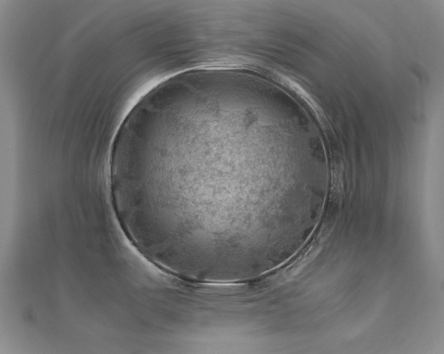 X0000112771487200908201456