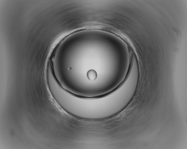 X0000112771488200908201456
