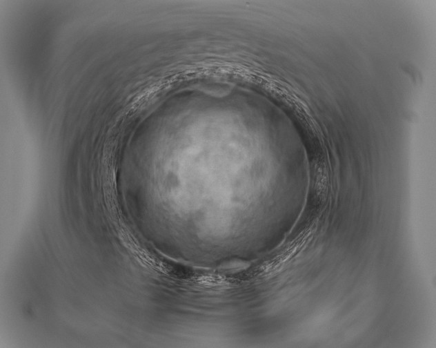 X0000112771489200908201455