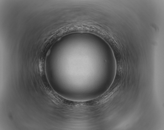X0000112771490200908201455