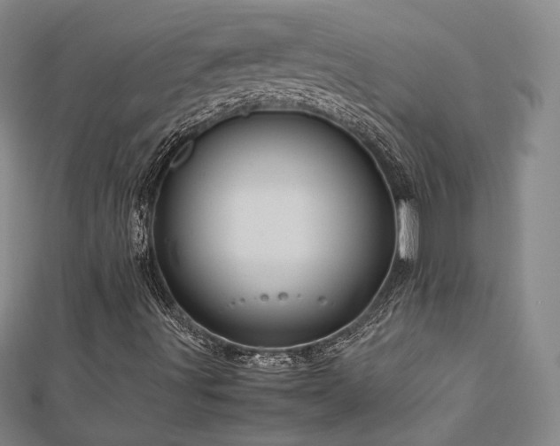 X0000112771491200908201455