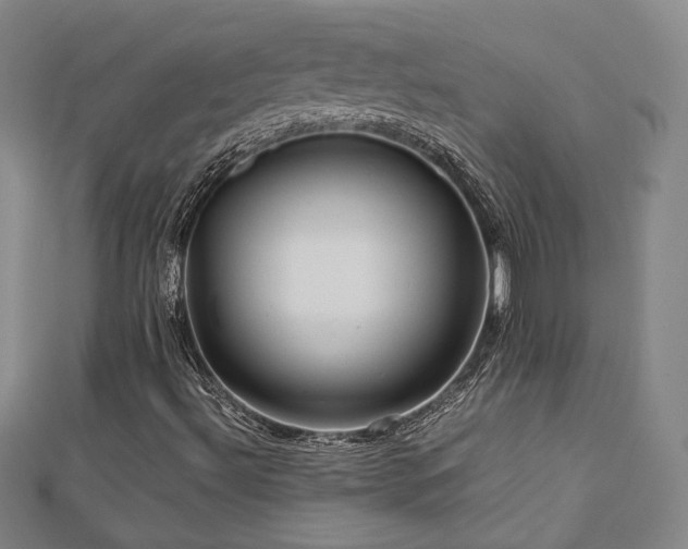 X0000112771492200908201455