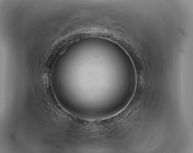 X0000112771493200908201455