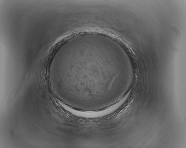 X0000112771494200908201455