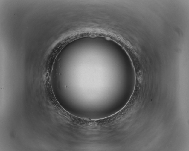 X0000112771495200908201455