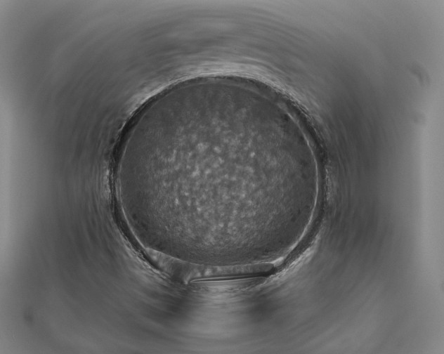 X0000112771497200908201456