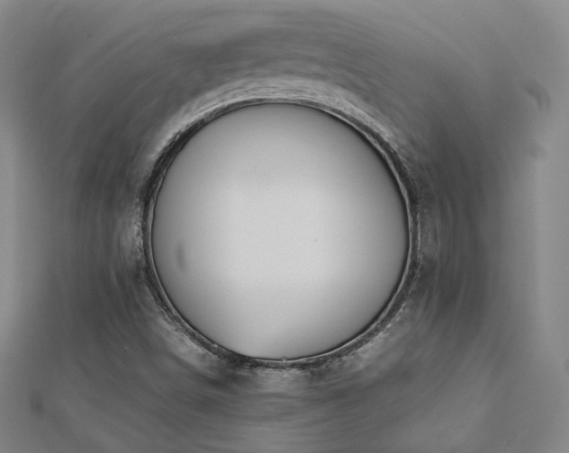 X0000112771498200908201456