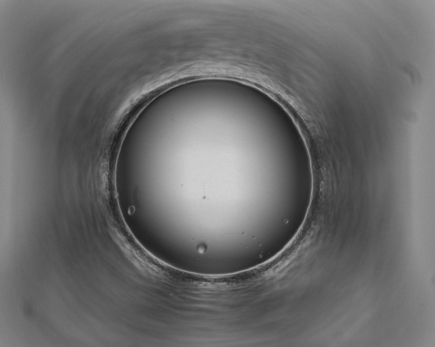 X0000112771499200908201456