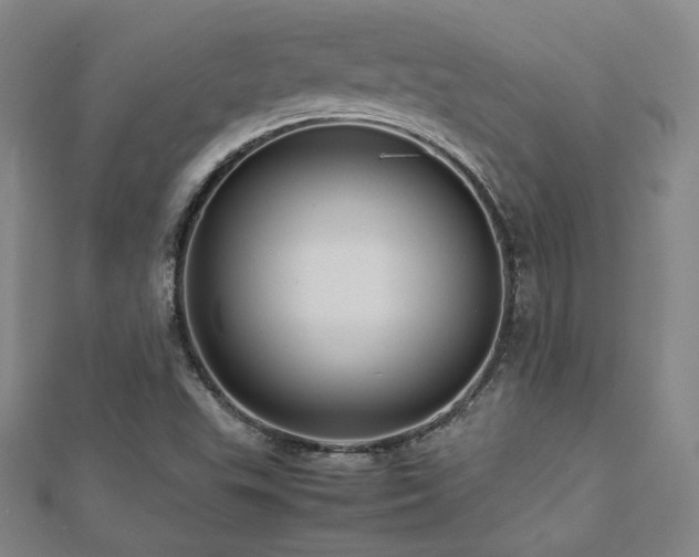 X0000112771503200908201456