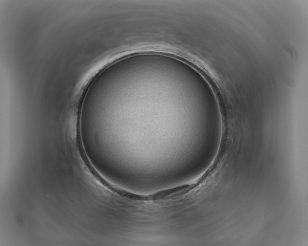 X0000112771504200908201456