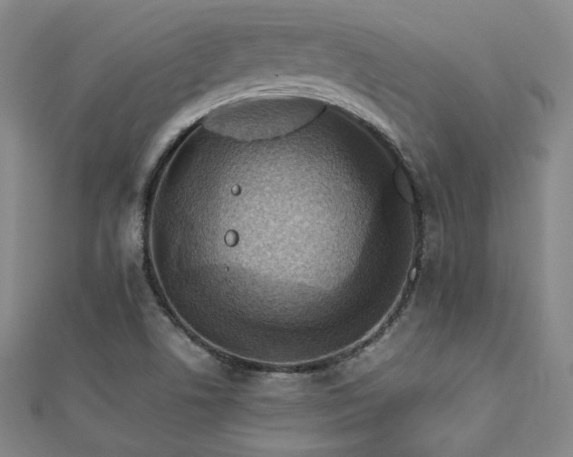 X0000112771506200908201456