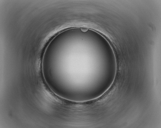 X0000112771507200908201456