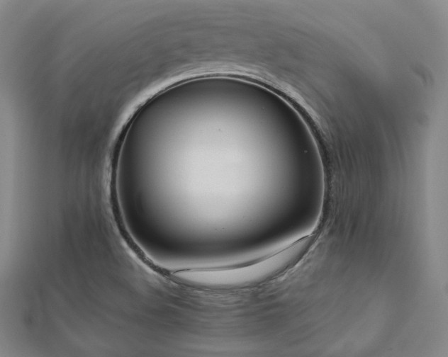 X0000112771508200908201456