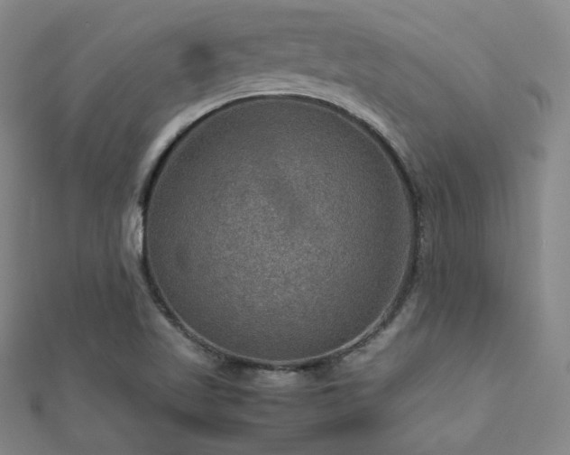 X0000112771509200908201456