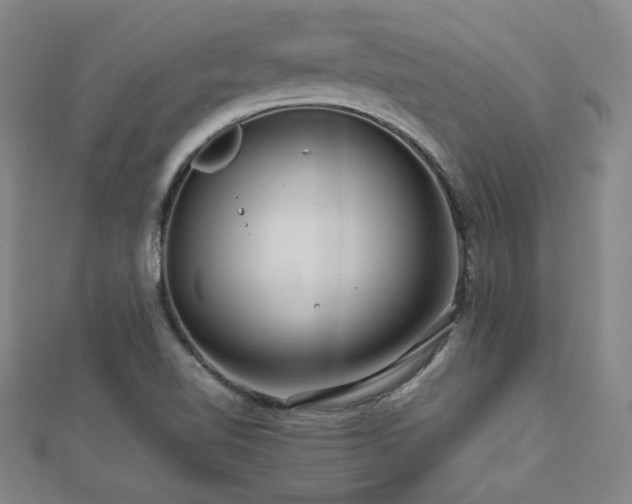 X0000112771510200908201456