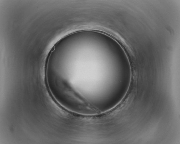 X0000112771512200908201456