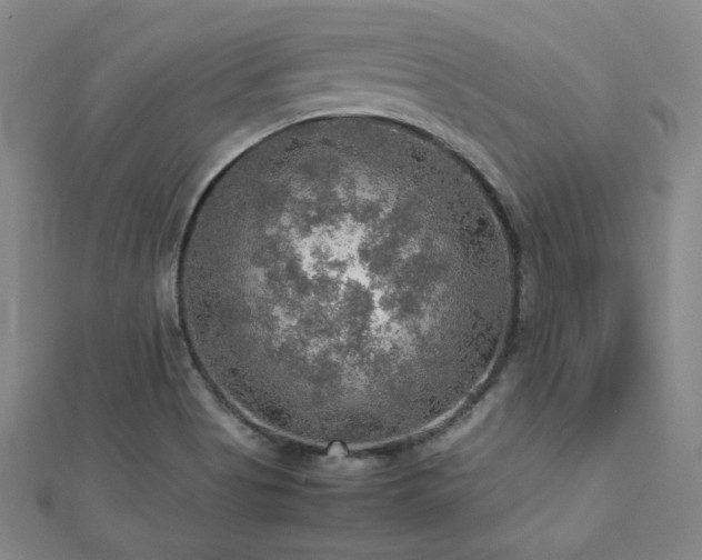 X0000112771513200908201456