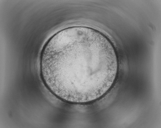 X0000112771514200908201456