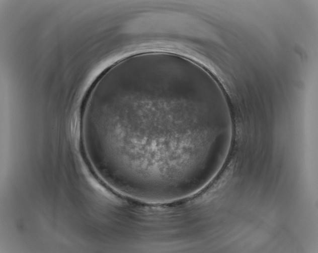 X0000112771515200908201456