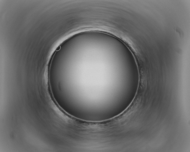 X0000112771516200908201456