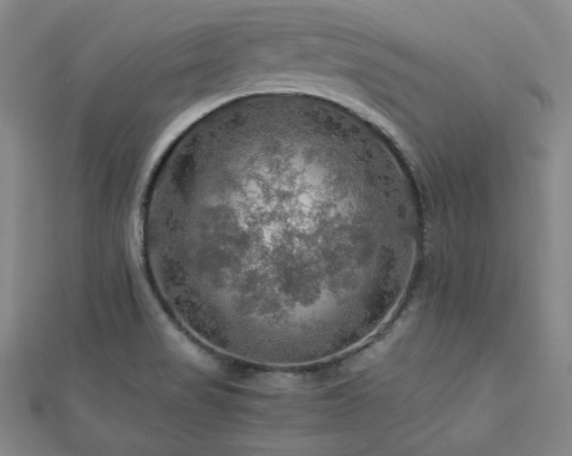 X0000112771517200908201456