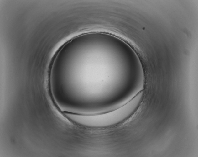 X0000112771518200908201456