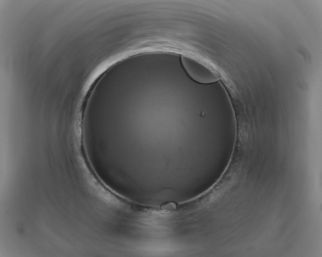 X0000112771522200908201456