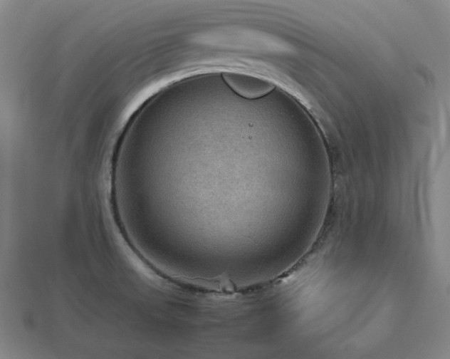 X0000112771523200908201456