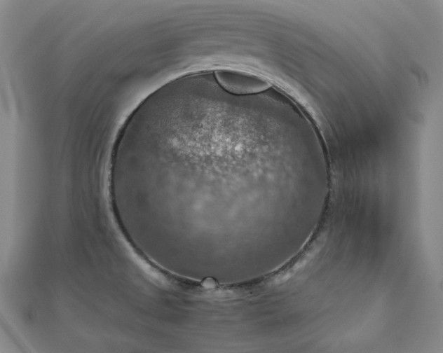 X0000112771525200908201456
