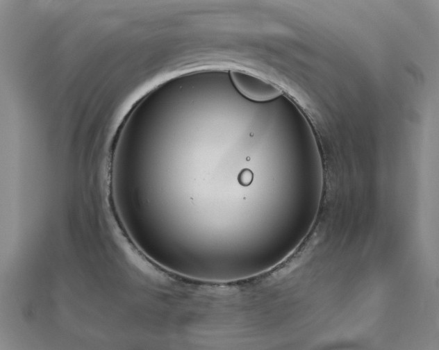 X0000112771526200908201456