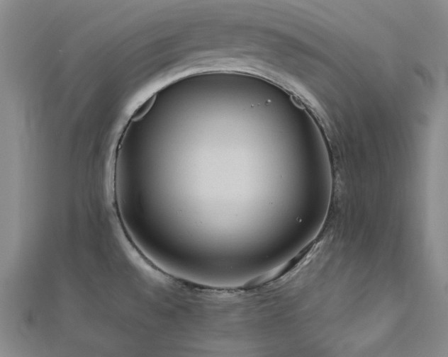 X0000112771528200908201456