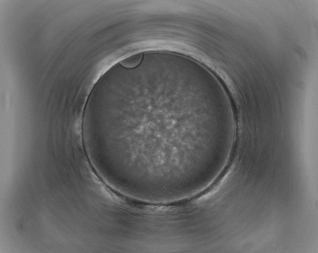 X0000112771529200908201456