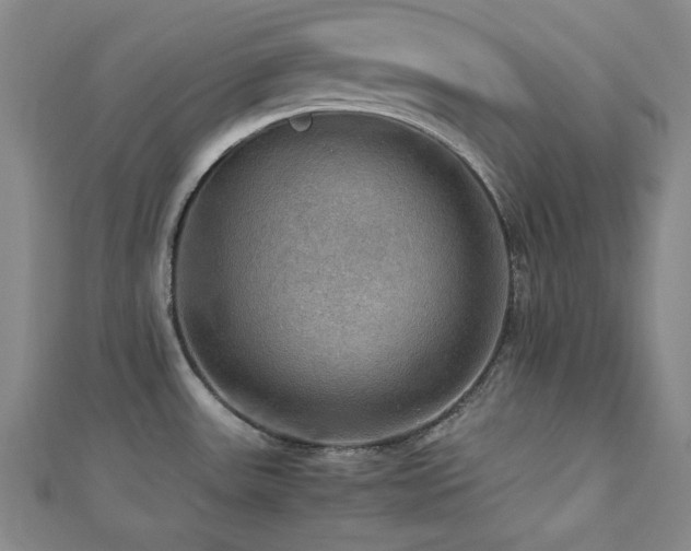 X0000112771531200908201456
