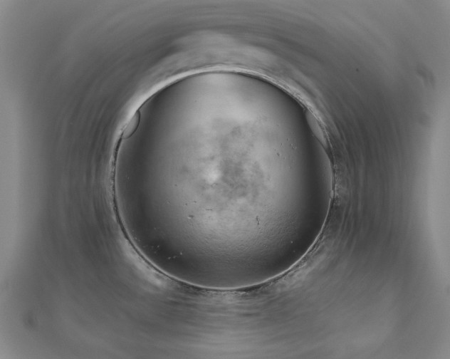 X0000112771532200908201456