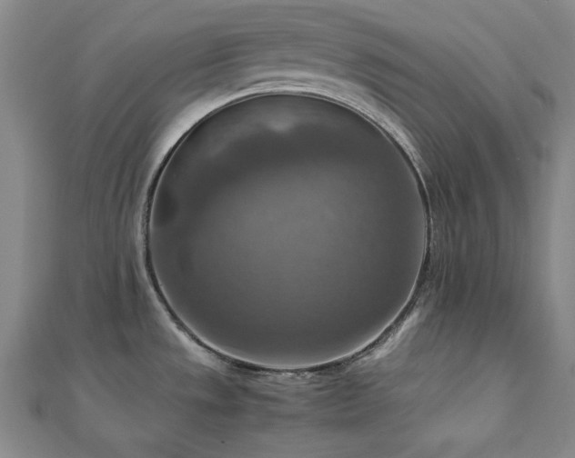 X0000112771533200908201456