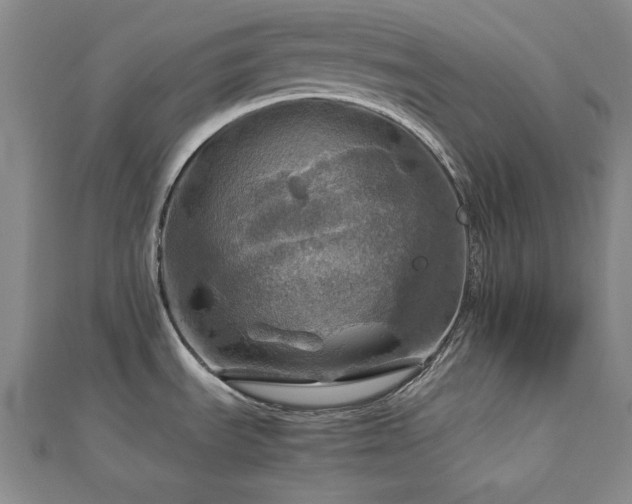 X0000112771535200908201456