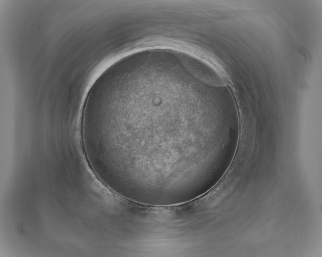X0000112771536200908201456