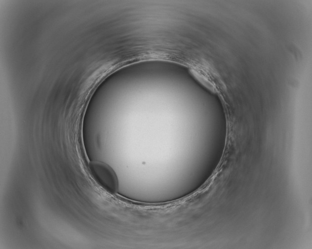 X0000112770001200908271652