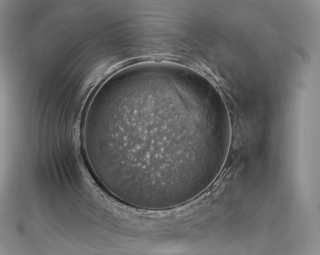 X0000112770002200908271651