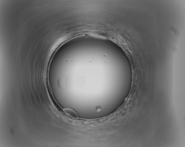 X0000112770003200908271651