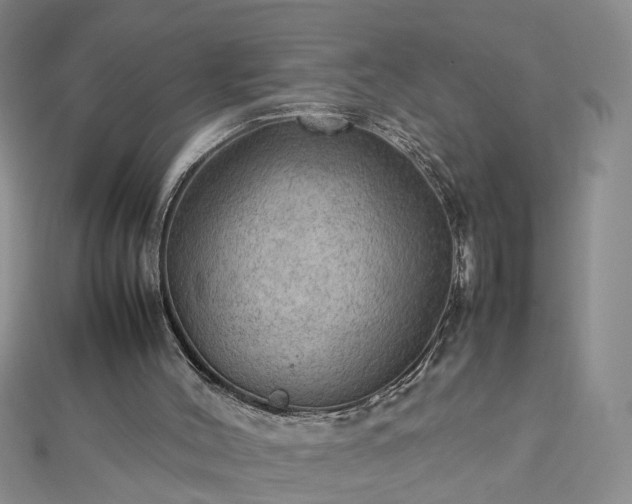 X0000112770004200908271651