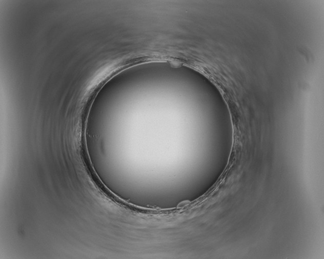 X0000112770005200908271651