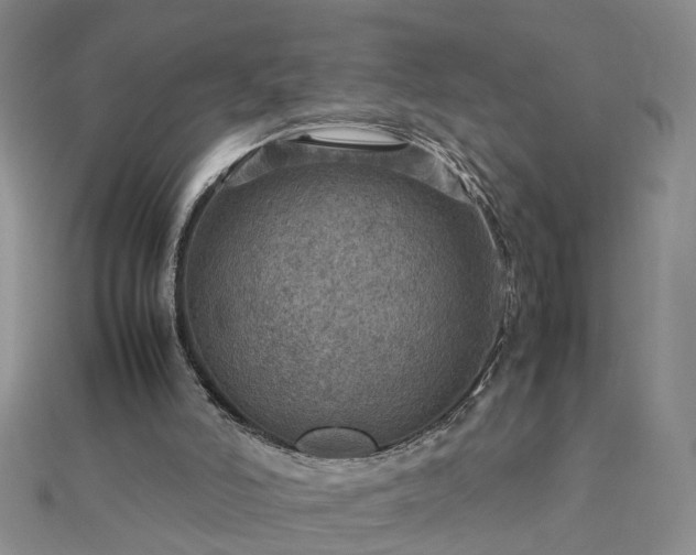 X0000112770006200908271651