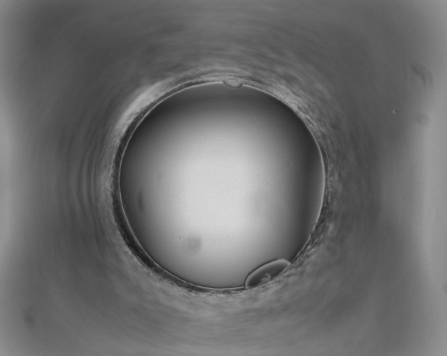 X0000112770007200908271651